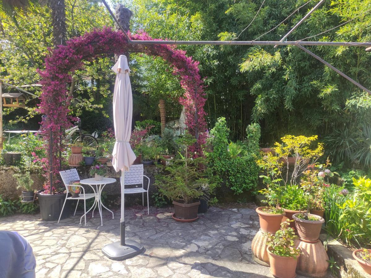 פורץ Apartment Valenta מראה חיצוני תמונה