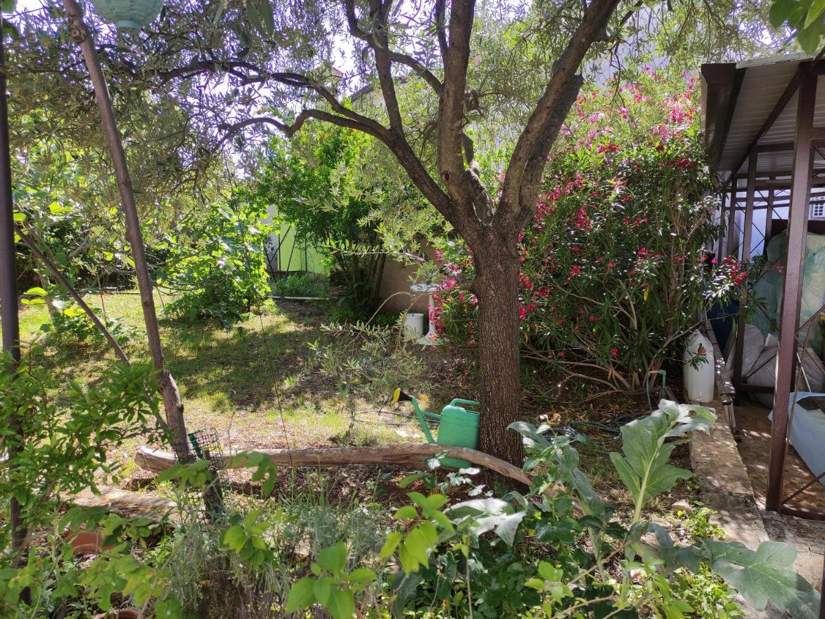פורץ Apartment Valenta מראה חיצוני תמונה